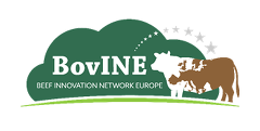 Logo BovINE Logo BovINE