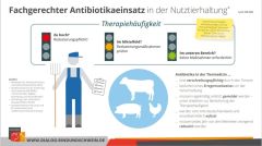 Grafik Rinderfakten BRS_Fachgerechter AB-Einsatz Grafik Rinderfakten BRS_Fachgerechter AB-Einsatz