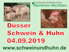 "Schwein und Huhn 2019", Haus Düsse "Schwein und Huhn 2019", Haus Düsse