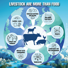ATF - Seminar: Livestock are more than food
© ATF ATF - Seminar: Livestock are more than food
© ATF