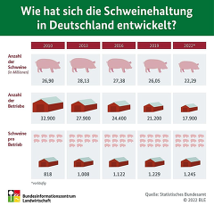 BZLGrafik "Wie hat sich die Schweinehaltung in Deutschland entwickelt? BZLGrafik "Wie hat sich die Schweinehaltung in Deutschland entwickelt?