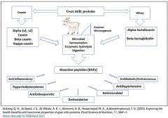 Exploring the health benefits and functional properties of goat milk proteins Exploring the health benefits and functional properties of goat milk proteins