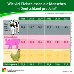 (c) BLE: Infografik Fleischverzehr 2023 (c) BLE: Infografik Fleischverzehr 2023
