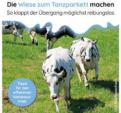 LKV Niedersachsen Weideauftrieb LKV Niedersachsen Weideauftrieb