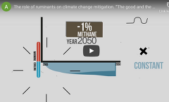The role of ruminants on climate change mitigation. “The good and the bad” The role of ruminants on climate change mitigation. “The good and the bad”