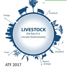 ATF: Why is European animal production important today? Facts and figures ATF: Why is European animal production important today? Facts and figures