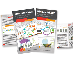 20230202 Flyer Fakten 20230202 Flyer Fakten