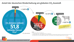 Anteil Rinderhaltung Am Globalen CO2 Ausstoß Anteil Rinderhaltung Am Globalen CO2 Ausstoß