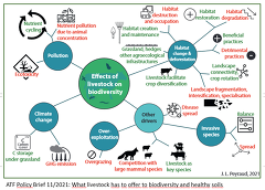 ATF Policy Brief 11/2021: What livestock has to offer to biodiversity and healthy soils ATF Policy Brief 11/2021: What livestock has to offer to biodiversity and healthy soils