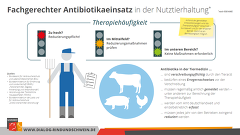 Fachgerechter Antibiotikaeinsatz Nutztierhaltung Fachgerechter Antibiotikaeinsatz Nutztierhaltung