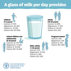 FAO: Milch ist wichtiges Lebensmittel FAO: Milch ist wichtiges Lebensmittel