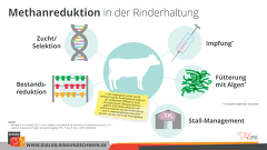 Möglichkeiten Methansenkung Möglichkeiten Methansenkung