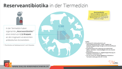 Reserveantibiotika In Der Tiermedizin Reserveantibiotika In Der Tiermedizin