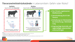 Tierarzneimittelrückstände In Lebensmitteln Tierarzneimittelrückstände In Lebensmitteln