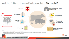 Tierwohl Bestandsgröße Tierwohl Bestandsgröße