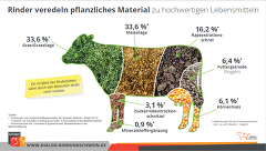 Welche Futtermittel Verwertet Die Kuh Welche Futtermittel Verwertet Die Kuh