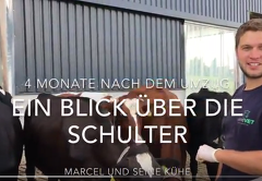 (c) RLV: Marcel und seine Kühe (c) RLV: Marcel und seine Kühe