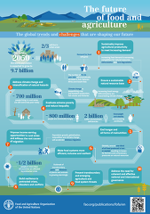 FAO Future of Foods FAO Future of Foods