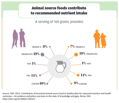 Source: FAO. 2023. Contribution of terrestrial animal source food to healthy diets for improved nutrition and health outcomes – An evidence and policy overview on the state of knowledge and gaps. Rome, FAO. https://doi.org/10.4060/cc3912en Source: FAO. 2023. Contribution of terrestrial animal source food to healthy diets for improved nutrition and health outcomes – An evidence and policy overview on the state of knowledge and gaps. Rome, FAO. https://doi.org/10.4060/cc3912en