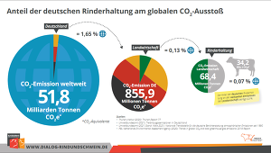 Anteil Rinderhaltung Am Globalen CO2 Ausstoß